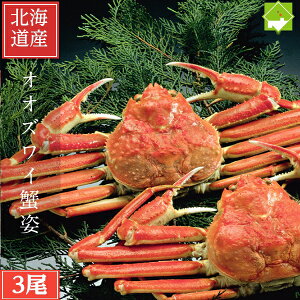 kCY {C IIYCp 3 1500g Ⓚ II킢  Jj I ɓ ɂ  Pi Mtg