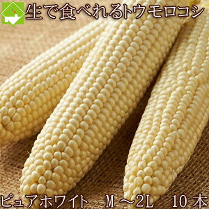 白 とうもろこし 生の人気商品 通販 価格比較 価格 Com