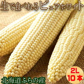 生で食べれる！北海道富良野産　トウモロコシ　ピュアホワイト　10本