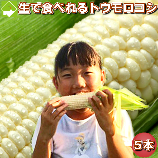 生で食べれる幻の白いトウモロコシ 幻 の白いとうもろこし 北海道富良野産 信頼 日本産 ピュアホワイト５本 10P03Dec16 送料無料