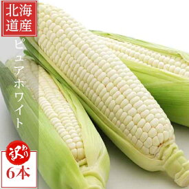 とうもろこし　北海道富良野産　訳あり　ピュアホワイト　6本入　　【業務用】