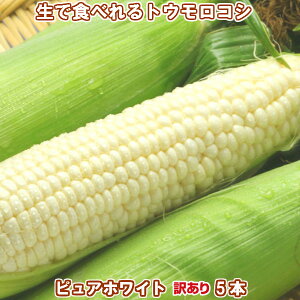 kCxǖY@@Ƃ낱@󂠂i킯jsAzCg@5{@yz@yƖpz@y܂z