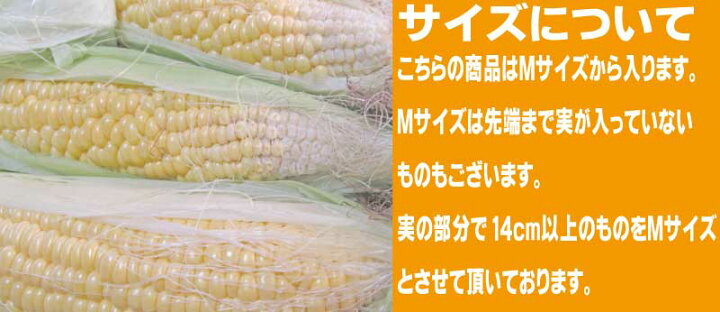 6400円 無料 ふるさと納税 富良野市 生で食べられる 白いトウモロコシ ピュアホワイト10本入り 6400円 無料 ふるさと納税 富良野市 生で食べられる 白いトウモロコシ ピュアホワイト10本入り