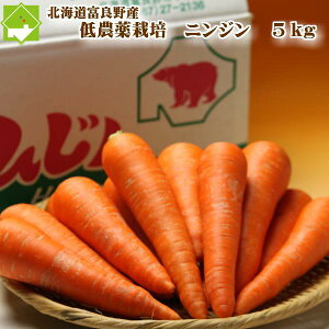 ӂ̃jW@kCӂ̎Y@Gi@5kgl߁@