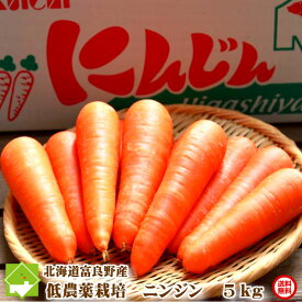 北海道富良野産 低農薬栽培 ニンジン 5kg SサイズからLサイズ込 送料無料