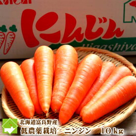 北海道富良野産　低農薬栽培　ニンジン　20kg（SサイズからLサイズ込）