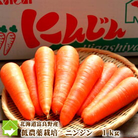 にんじん　北海道富良野産　低農薬栽培　最高級　ニンジン　1kg