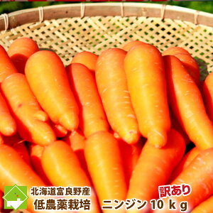 yzkCxǖY@_͔|@󂠂@(KiOj@􂢐lQiɂ񂶂j@10kgiSTCYLTCYjyz@yƖpz