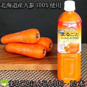 kCY ɂ񂶂W[X kC܂邲Ƃɂ񂶂100 900ml pet@12{ 