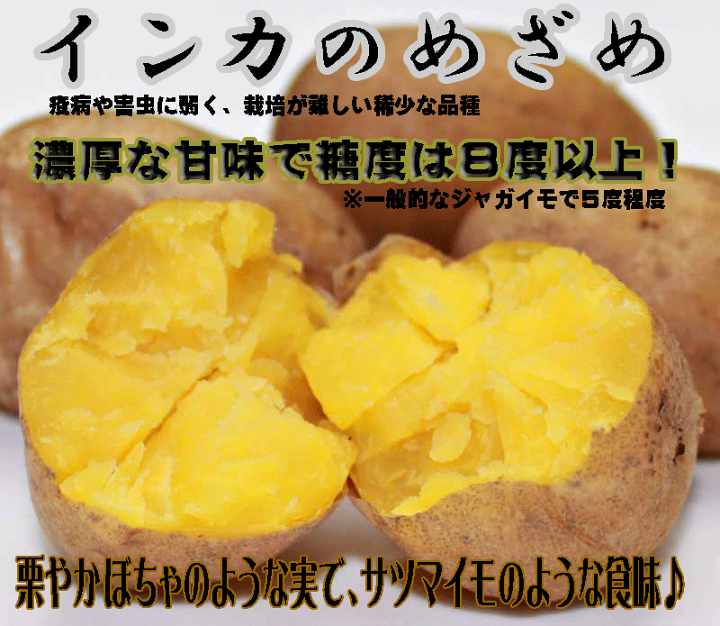 楽天市場】じゃがいも 送料無料 北海道産 インカのめざめ5kg