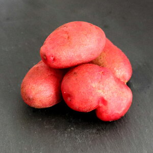 Ⴊ kCxǖY ԂႪ bh[ 4.5kg 