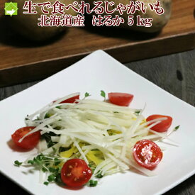 楽天市場 はるか じゃがいもの通販