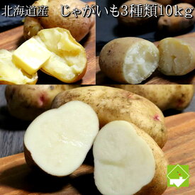 楽天市場 はるか じゃがいもの通販