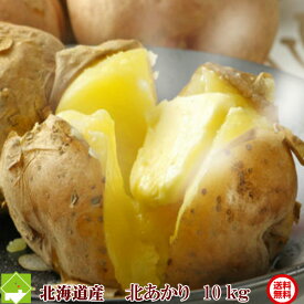 じゃがいも 送料無料 北海道 富良野産 ジャガイモ 北あかり 10kg (S〜Lサイズ込）