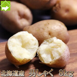 Ⴊ kCxǖY@Ⴊ@j݁@8kg iSTCYj yz