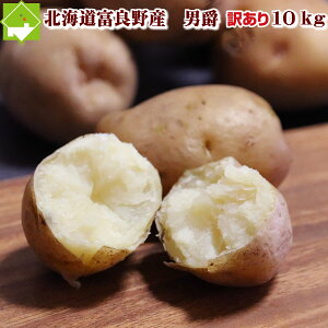 Ⴊ Hn 󂠂 kCxǖY Ⴊ j 10kg @ʓrn悠