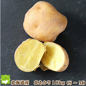 Ⴊ  kC xǖY WKC k 10kgiSTCYMTCYjʓrn悠
