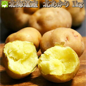 Ⴊ kCY k 1kg  ʓrn悠