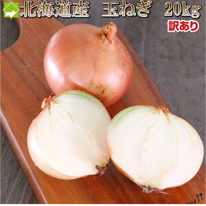 ܂˂ 󂠂 STCY 20kg kC xǖY _ł܁`@ʔK@@ʓrn悠