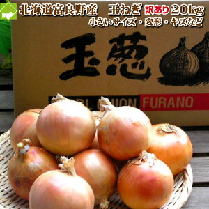 たまねぎ　送料無料　北海道富良野産　低農薬であまい　玉葱　訳あり　20kg　別途送料が発生する地域あり