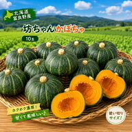 かぼちゃ 送料無料 北海道 富良野産 坊ちゃんかぼちゃ 10玉 坊ちゃんカボチャ 南瓜 ミニかぼちゃ 小玉 野…