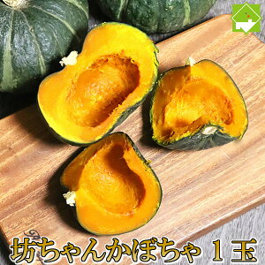 ڂ xǖY@V񂩂ڂiڂJ{`j@1