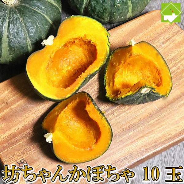 有機肥料で栽培したホクホクの坊ちゃん（ボッチャン）かぼちゃ♪ かぼちゃ 送料無料 北海道 富良野産 坊ちゃんかぼちゃ 10玉 別途送料が発生する地域あり