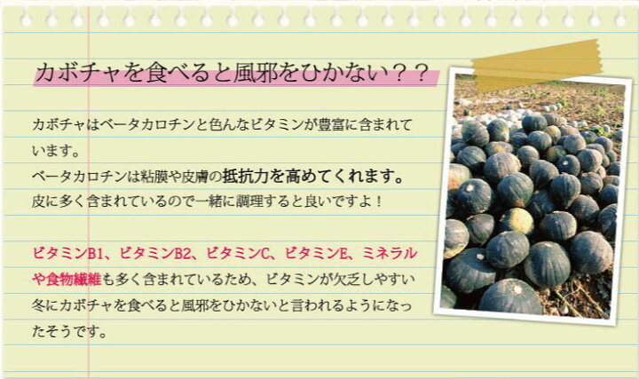 楽天市場】かぼちゃ 国産 北海道富良野産 ダークホース 10kg : スイートベジタブルファクトリー 楽天市場】かぼちゃ 国産 北海道富良野産 ダークホース 10kg : スイートベジタブルファクトリー