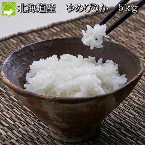 V  5kg  kCY@߂҂肩 5kg