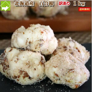 荪@kCxǖY@󂠂@S@1kg@@ʓrn悠