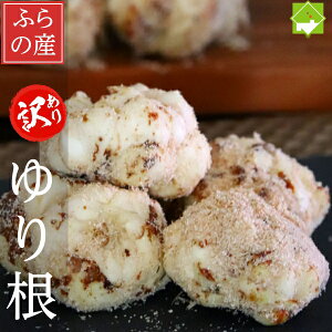 kCxǖY@󂠂@荪iSj@2.5kg