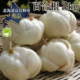 ゆり根 北海道 富良野産 百合根 秀品 2kg 送料無料 野菜 ギフト 贈り物 お正月 料理 茶碗蒸し ホクホク おがくず保存 産地直送 富良野 高級食材 百合ね ユリネ 2キロ