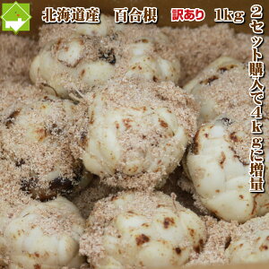 荪kCxǖY󂠂S1kg 2Zbgw2Zbg܂4kg