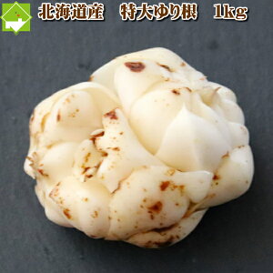 荪 kC xǖY  S 1kg