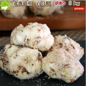 荪 kC xǖY 󂠂 S 3kg