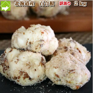 荪 kC xǖY 󂠂 S 2kg  ʓrn悠