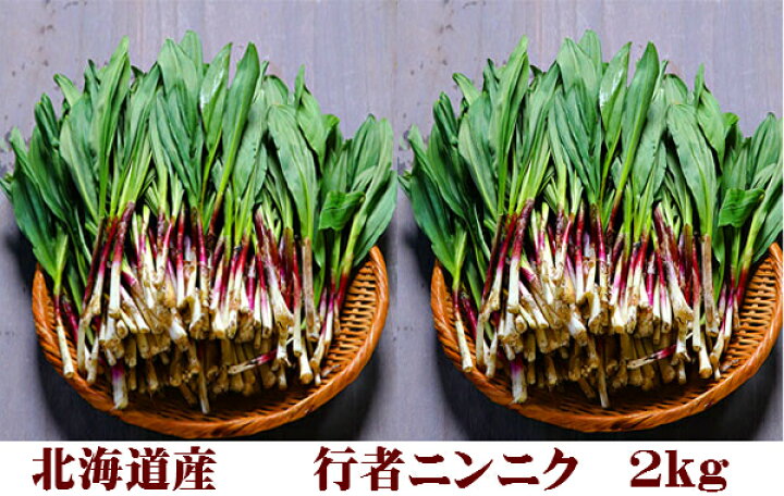 楽天市場】山菜 行者にんにく 北海道 富良野産 天然物 行者にんにく 