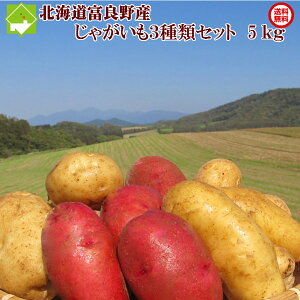 種 じゃがいも 男爵の人気商品 通販 価格比較 価格 Com