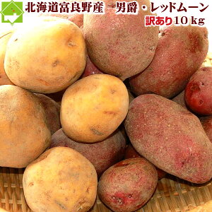 kCxǖY@󂠂i킯j2ނ̂ႪiWKCj10kgZbgyj݁Ebh[z@yz܁@y10P03Dec16z