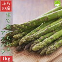 2026年先行予約　アスパラガス 北海道産 送料無料 グリーン スイートアスパラ 1kg S〜Lサイズ込 テレビで紹介された【…