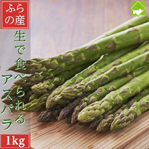 2026Ns\@AXpKX kCY  O[ XC[gAXp 1kg S`LTCY erŏЉꂽyzŐHׂAXp ʓrn悠@ς@