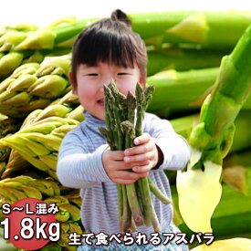生で食べられるアスパラ 北海道富良野産 グリーン 1.8kg 送料無料