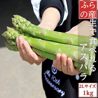 【クーポン利用で5,980円】アスパラ グリーンアスパラガス 北海道富良野産 極太 2Lサイズ 1kg 4月上旬発…