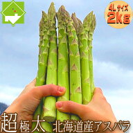 アスパラガス アスパラ 北海道産 送料無料 ハウス栽培 富良野産 グリーンアスパラ　超極太 4Lサイズ 2kg…
