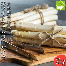 アスパラガス 北海道富良野産 高級食材 ホワイトアスパラ 秀品 Lサイズ以上　2kg