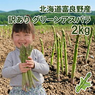 アスパラガス グリーン 訳あり 2kg 生で食べられる 北海道富良野産 送料無料 別途送料が発生する地域あり…