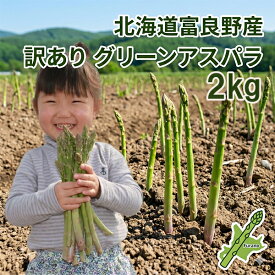 アスパラガス グリーン 訳あり 2kg 生で食べられる 北海道富良野産 送料無料 別途送料が発生する地域あり ギフト 贈り物 プレゼント 自宅用 家庭用 おうち用 野菜 北海道 グルメ お取り寄せ 同梱にオススメ 予約販売 詰め合わせ 贈答用