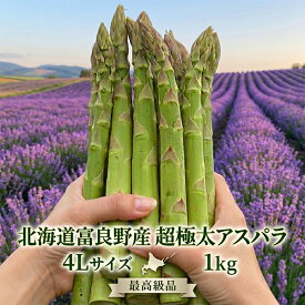 【クーポン利用で6980円】北海道産 アスパラガス 超極太 4L 1kg 約20本 送料無料 グリーンアスパラ 富良野産 朝採り 新鮮 産地直送 甘い ギフト 贈答用 お取り寄せ　お中元 母の日
