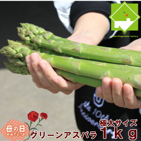 楽天市場 アスパラ 花 観葉植物 花 ガーデン Diy の通販 楽天市場 アスパラ 花 観葉植物 花 ガーデン Diy の通販