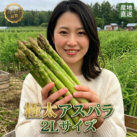 【クーポン利用で5,980円】アスパラ グリーンアスパラガス 北海道富良野産 極太 2Lサイズ 1kg 4月上旬発送 ハウス栽培 送料無料 別途送料が発生する地域あり 朝採り 朝どれ 甘い 産地直送 冷蔵便 保存10℃以下 同梱 母の日ギフト 贈答用 予約販売 箱入り 生食可 富良野